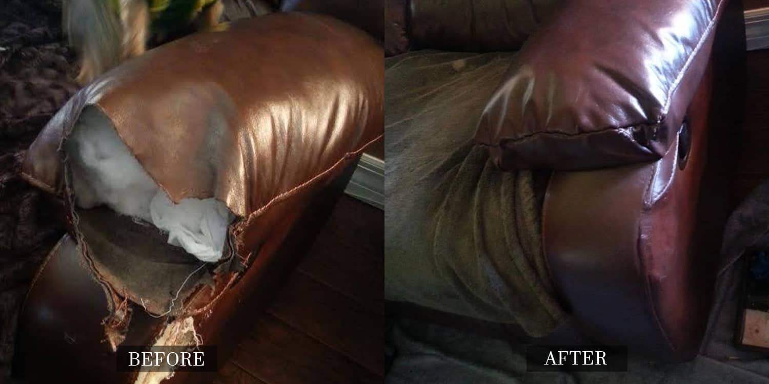 Leather Repair for Pet Damage