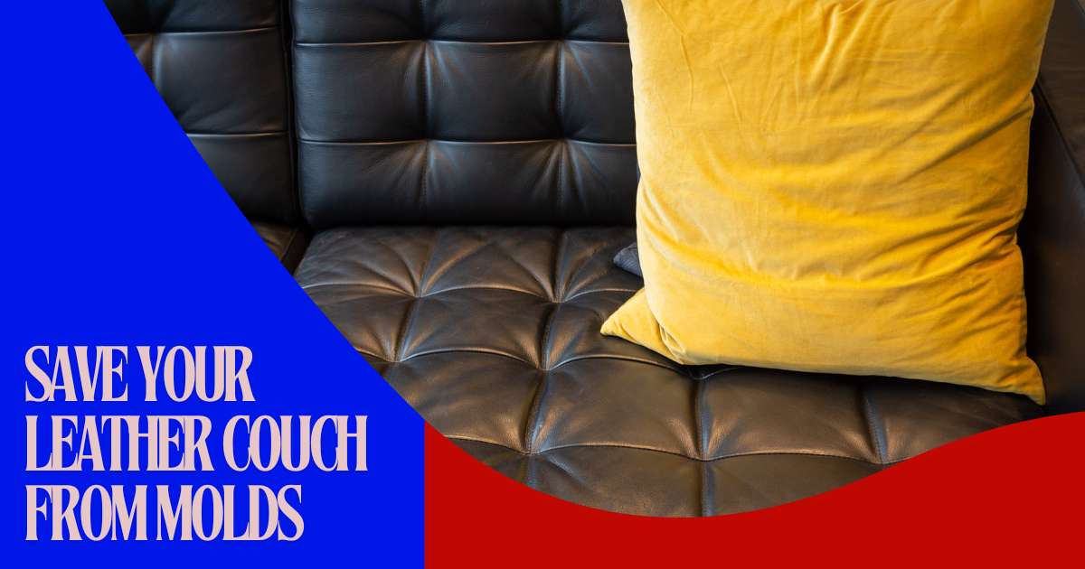 How To Prevent Mold From Damaging Leather Upholstery