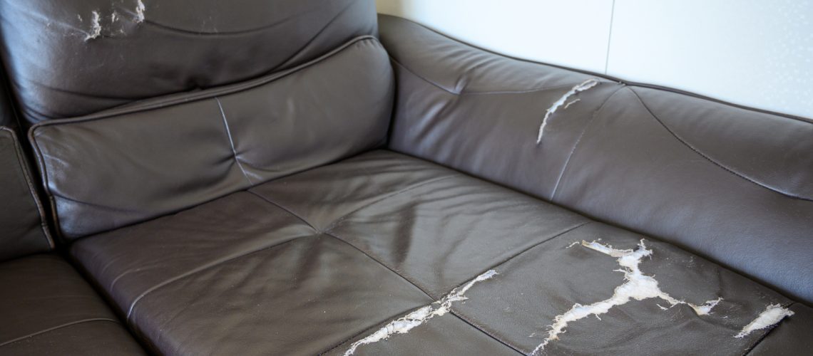 Common Leather Furniture Issues to Watch Out For