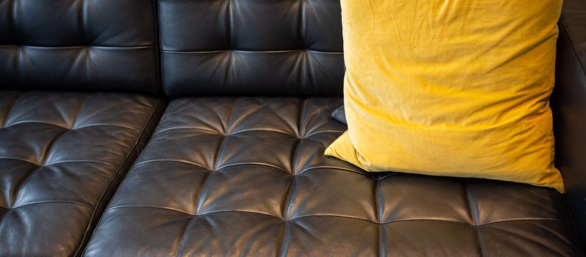 Save Your Leather Couch From Molds